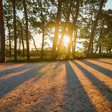 Strandhotel Fontana Отель 4*